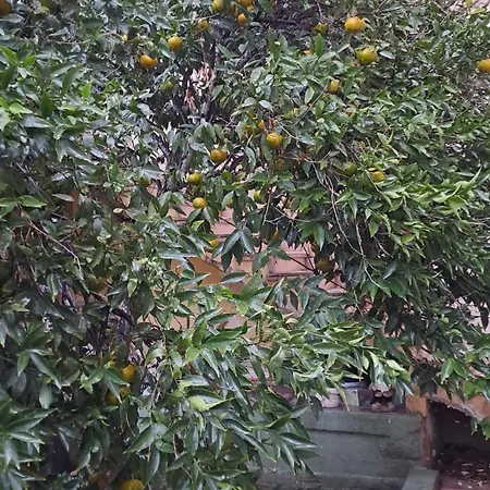 Tatil Evi 139 Taormina *