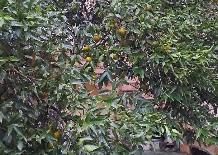 Dom wakacyjny 139 Taormina *